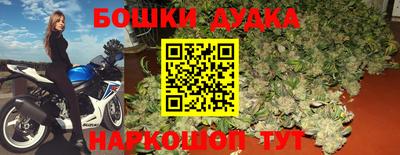 бошки Будённовск