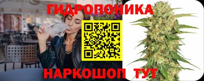 бошки Будённовск