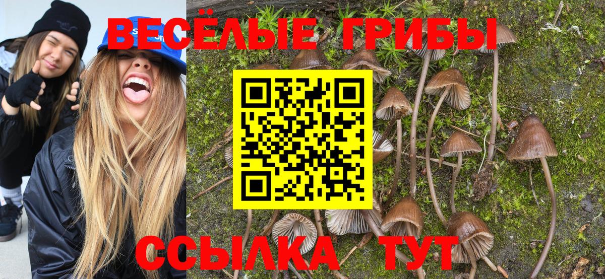 Углич  закладки  Вход с VPN  Псилоцибиновые грибы Psilocybe 